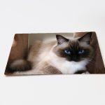 Glass Chopping Board - Image 8